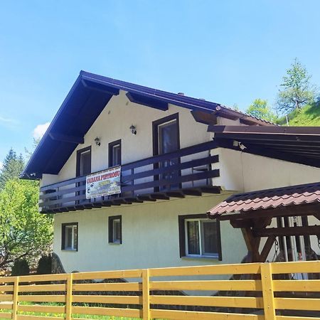 Casa Pietrosu Rodnei Hotel Borsa  Bagian luar foto