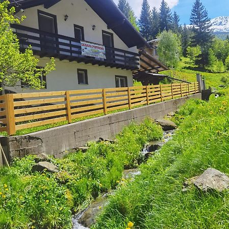 Casa Pietrosu Rodnei Hotel Borsa  Bagian luar foto
