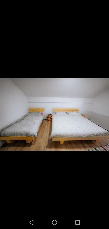 Casa Pietrosu Rodnei Hotel Borsa  Bagian luar foto