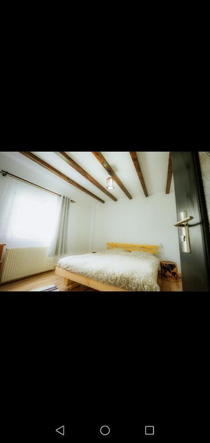 Casa Pietrosu Rodnei Hotel Borsa  Bagian luar foto