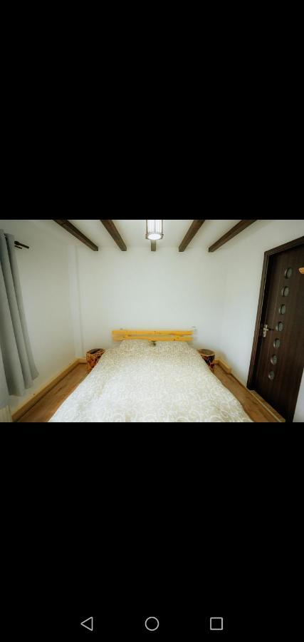 Casa Pietrosu Rodnei Hotel Borsa  Bagian luar foto
