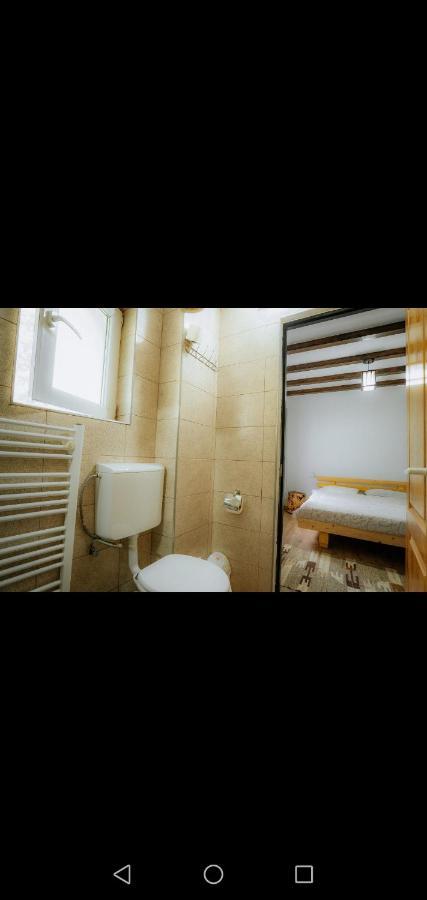 Casa Pietrosu Rodnei Hotel Borsa  Bagian luar foto
