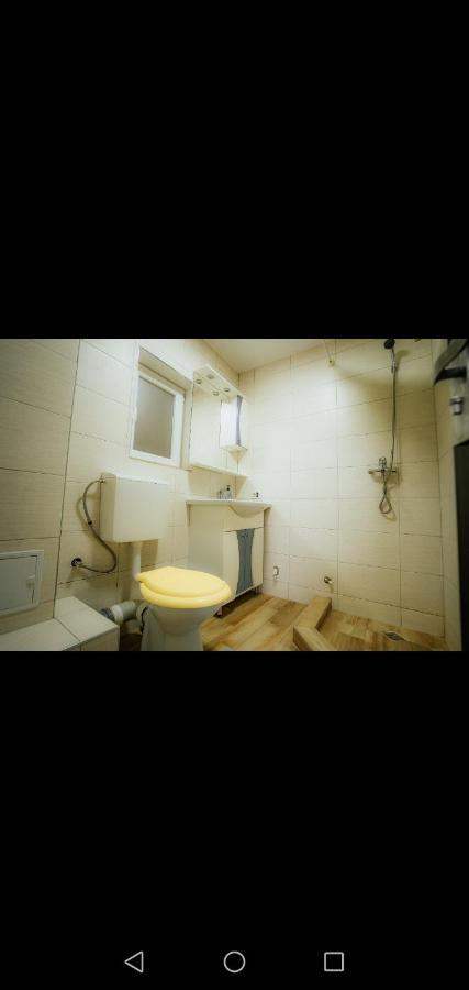 Casa Pietrosu Rodnei Hotel Borsa  Bagian luar foto