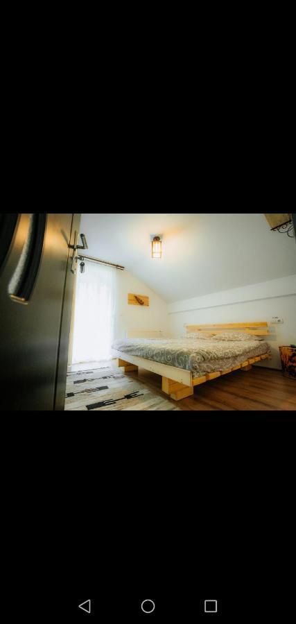 Casa Pietrosu Rodnei Hotel Borsa  Bagian luar foto