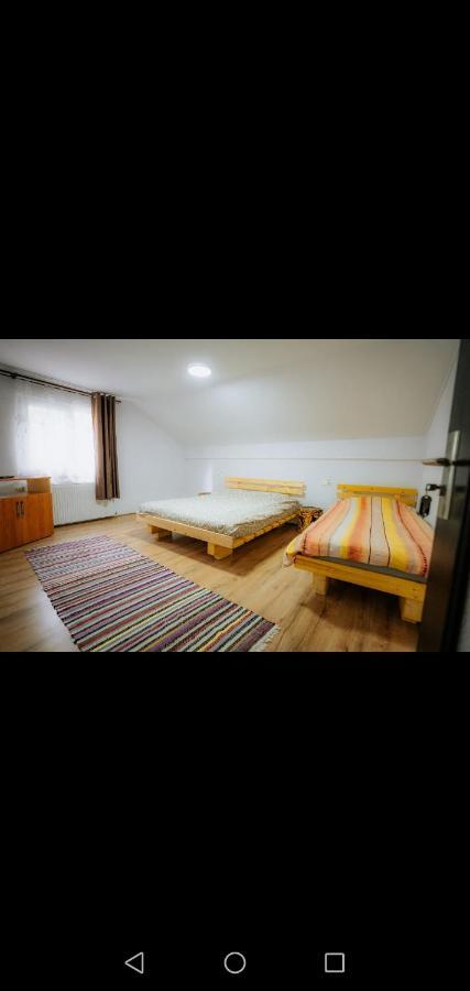 Casa Pietrosu Rodnei Hotel Borsa  Bagian luar foto