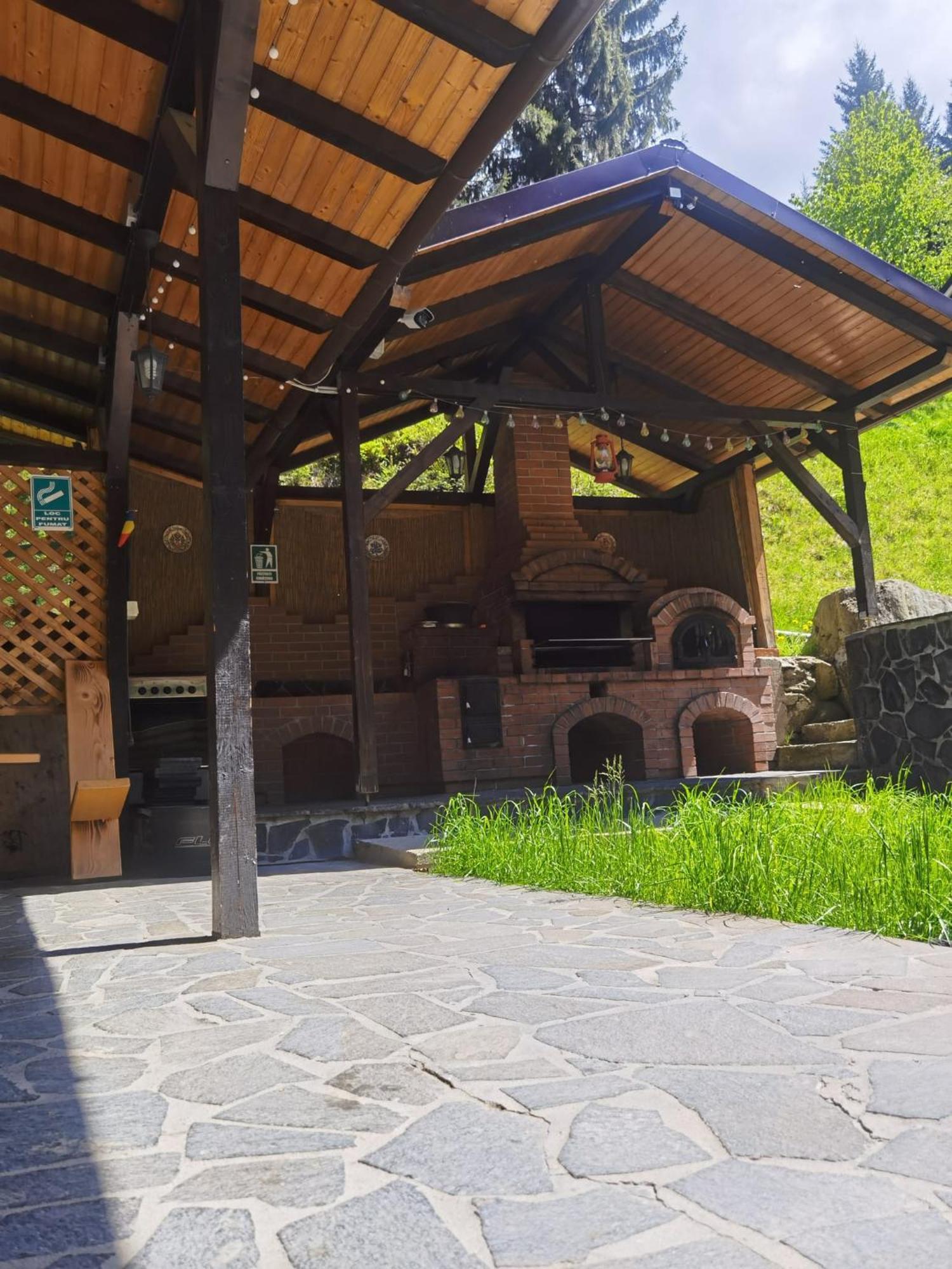 Casa Pietrosu Rodnei Hotel Borsa  Bagian luar foto